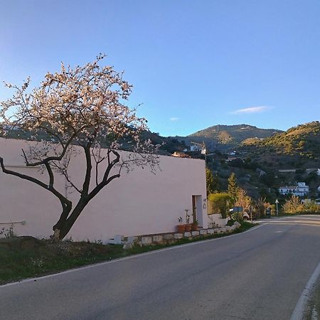 Finca El Almendro Árchez Kültér fotó