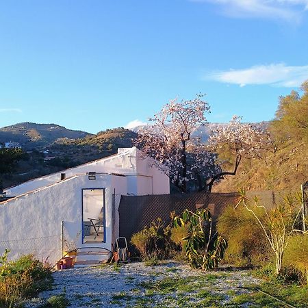 Finca El Almendro Árchez Kültér fotó