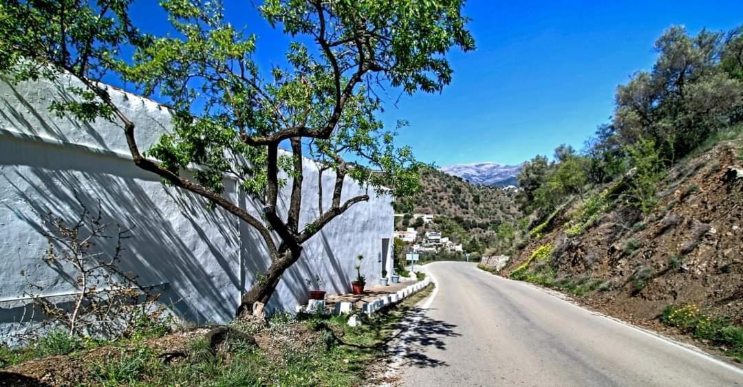Finca El Almendro Árchez Kültér fotó