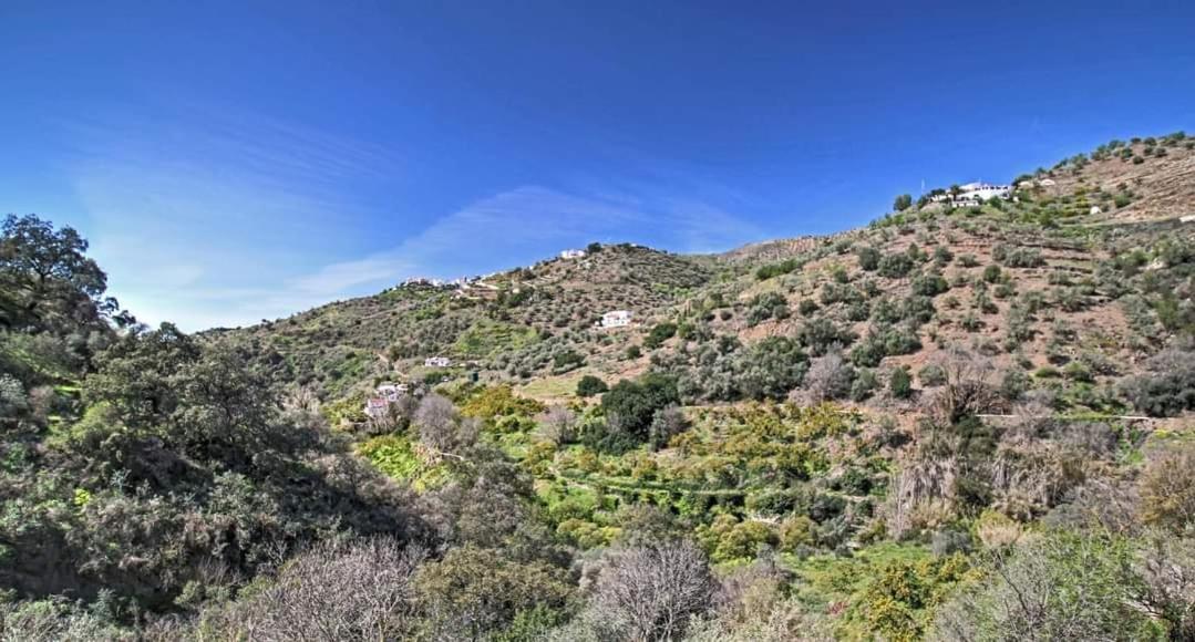 Finca El Almendro Árchez Kültér fotó