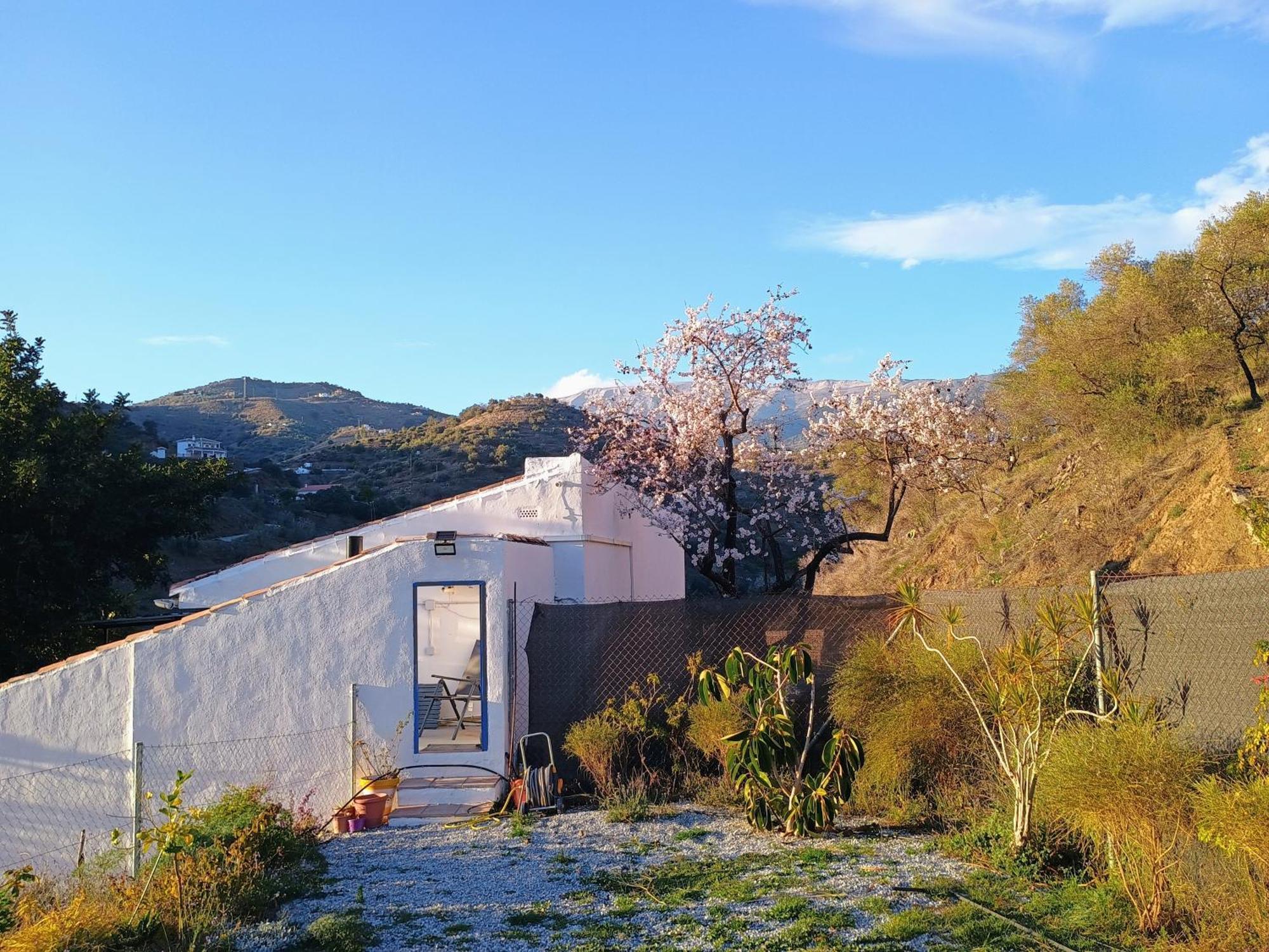 Finca El Almendro Árchez Kültér fotó