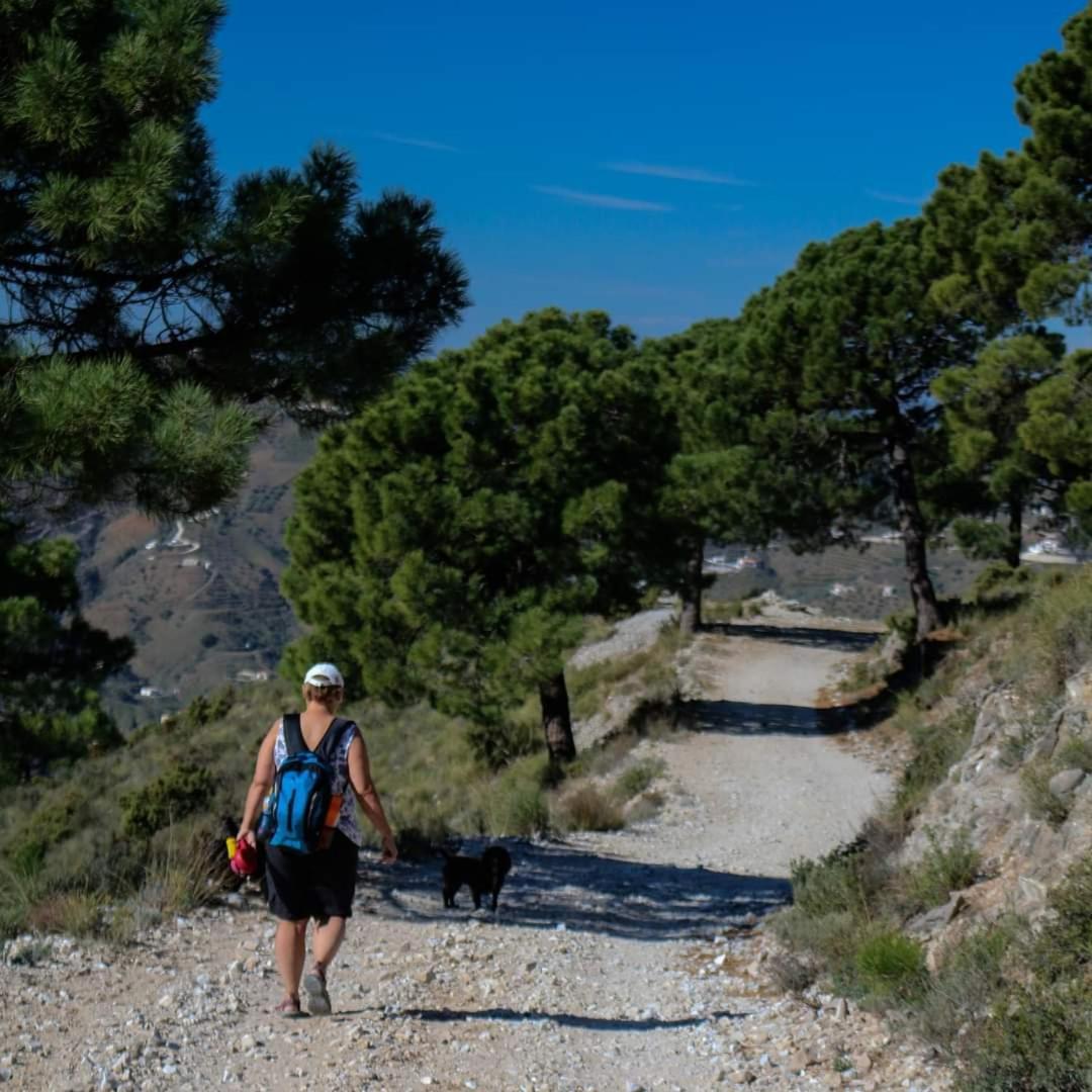 Finca El Almendro Árchez Kültér fotó