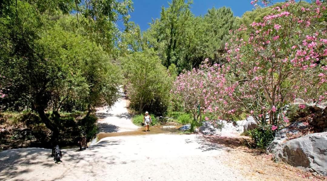 Finca El Almendro Árchez Kültér fotó